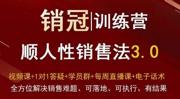 爆款！销冠训练营3.0之顺人性销售法，全方位解决销售难题、可落地、可执行、有结果 - 中赚网创-中赚网创