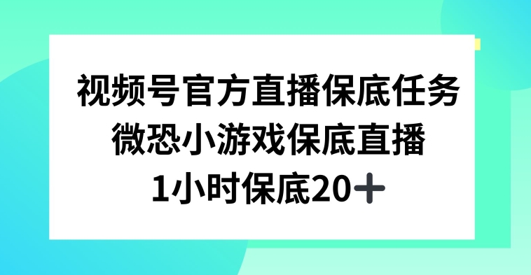 视频号直播任务，微恐小游戏，1小时20+ - 中赚网创-中赚网创