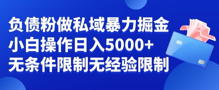 负债粉私域暴力掘金，小白操作入5000，无经验限制，无条件限制 - 中赚网创-中赚网创