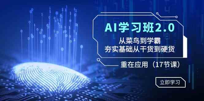 AI学习班2.0：从菜鸟到学霸，夯实基础从干货到硬货，重在应用（17节课） - 中赚网创-中赚网创