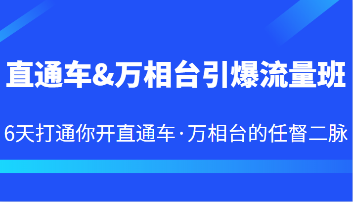 直通车&万相台引爆流量班 6天打通你开直通车·万相台的任督二脉 - 中赚网创-中赚网创