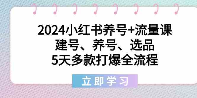 2024小红书养号+流量课：建号、养号、选品，5天多款打爆全流程 - 中赚网创-中赚网创