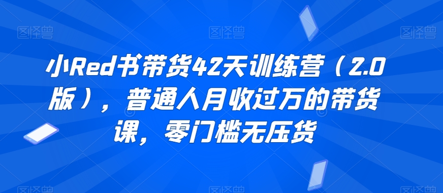 小Red书带货42天训练营（2.0版），普通人月收过万的带货课，零门槛无压货 - 中赚网创-中赚网创