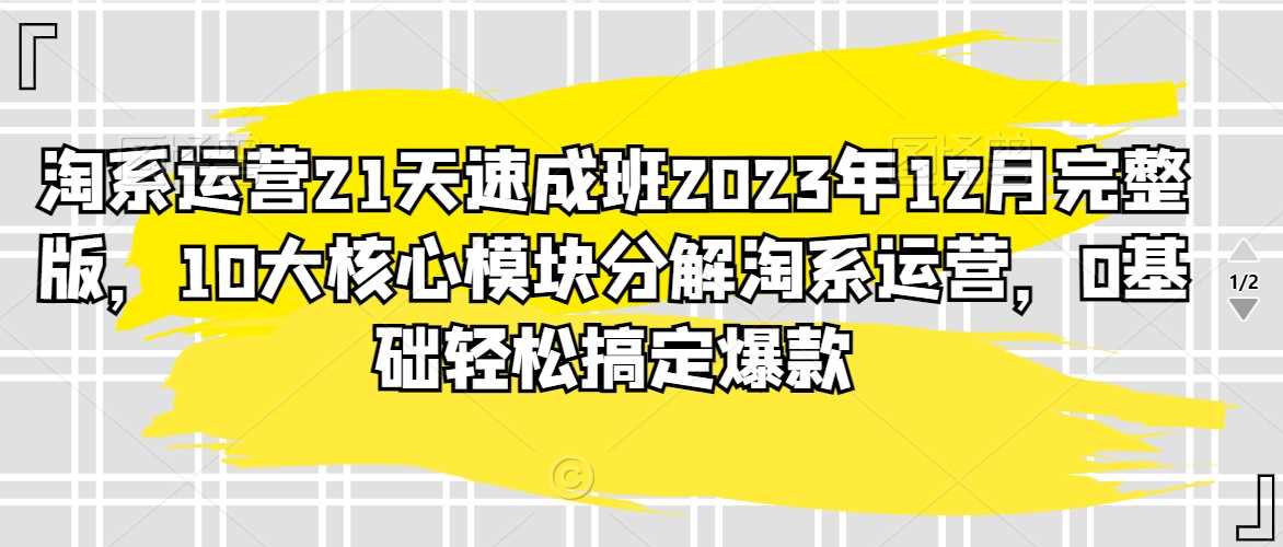 淘系运营21天速成班2023年12月完整版，10大核心模块分解淘系运营，0基础轻松搞定爆款 - 中赚网创-中赚网创