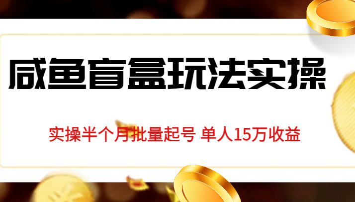 独家首发咸鱼盲盒玩法实操，半个月批量起号单人15万收益揭秘 - 中赚网创-中赚网创