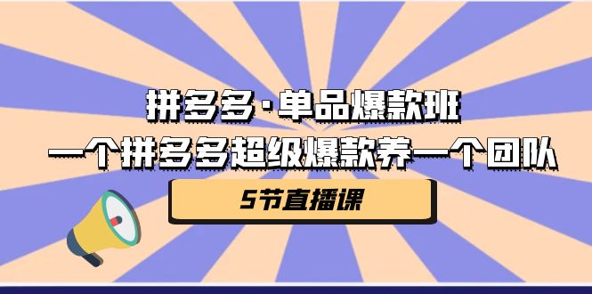 拼多多·单品爆款班，一个拼多多超级爆款养一个团队（5节直播课） - 中赚网创-中赚网创