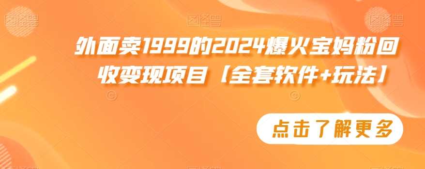 外面卖1999的2024爆火宝妈粉回收变现项目【全套软件+玩法】【揭秘】 - 中赚网创-中赚网创