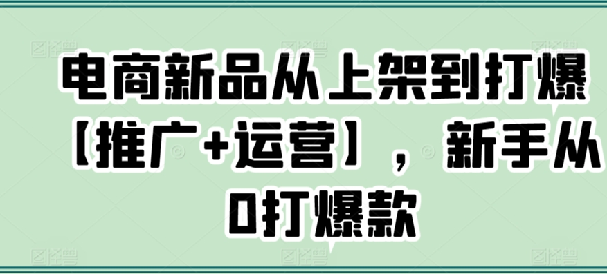 电商新品从上架到打爆【推广+运营】，新手从0打爆款 - 中赚网创-中赚网创