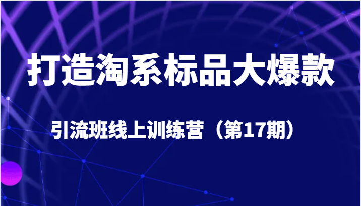 打造淘系标品大爆款引流班线上训练营（第17期）5天直播授课+1个月答疑 - 中赚网创-中赚网创