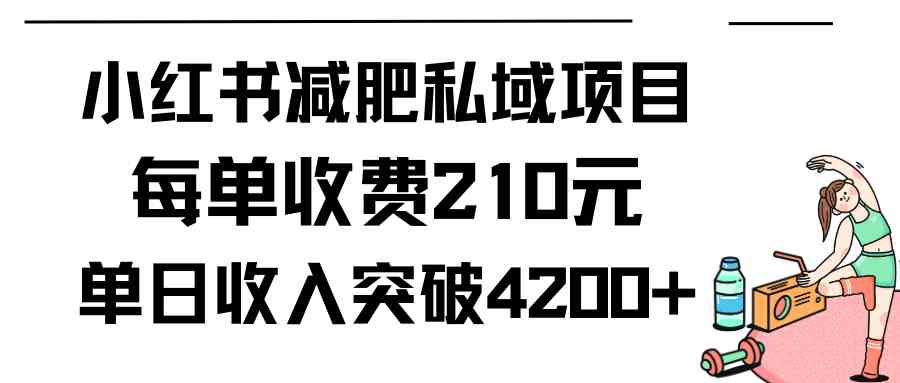 小红书减肥私域项目每单收费210元单日成交20单，最高日入4200+ - 中赚网创-中赚网创