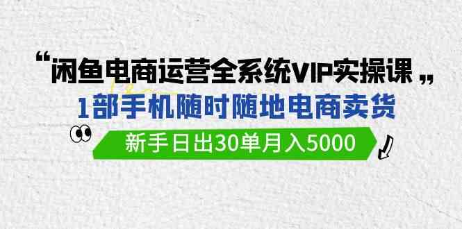 闲鱼电商运营全系统VIP实战课，1部手机随时随地卖货，新手日出30单月入5000 - 中赚网创-中赚网创