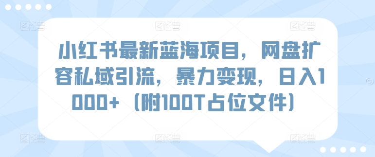 小红书最新蓝海项目，网盘扩容私域引流，暴力变现，日入1000+（附100T占位文件） - 中赚网创-中赚网创