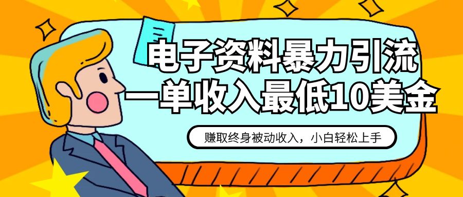 电子资料暴力引流，一单最低10美金，赚取终身被动收入，保姆级教程 - 中赚网创-中赚网创