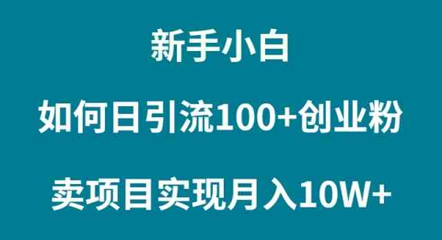 新手小白如何通过卖项目实现月入10W+ - 中赚网创-中赚网创