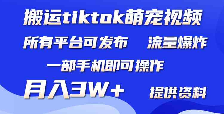 搬运Tiktok萌宠类视频，一部手机即可。所有短视频平台均可操作，月入3W+ - 中赚网创-中赚网创