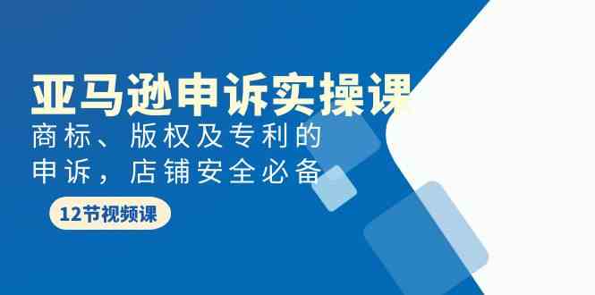 亚马逊-申诉实战课，​商标、版权及专利的申诉，店铺安全必备 - 中赚网创-中赚网创