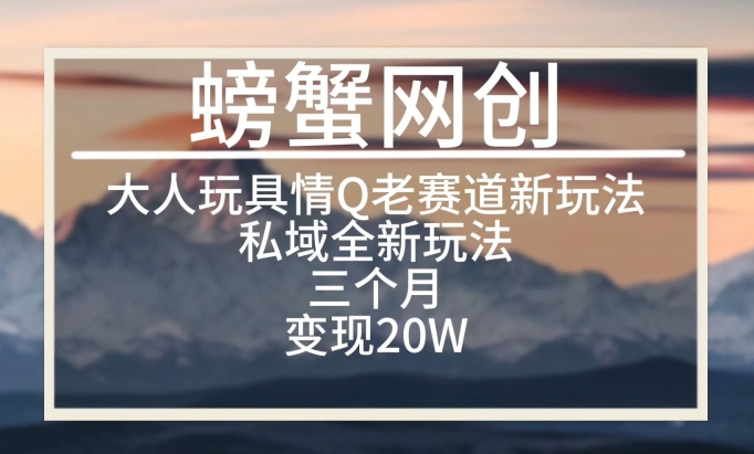 大人玩具情Q用品赛道私域全新玩法，三个月变现20W，老项目新思路 - 中赚网创-中赚网创