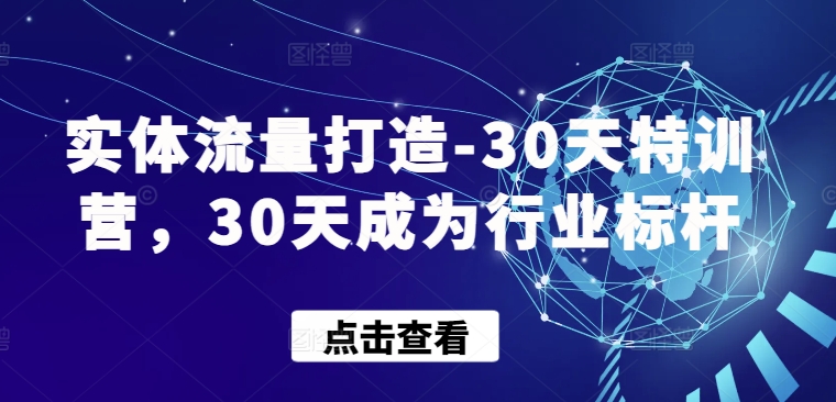 实体流量打造-30天特训营，30天成为行业标杆 - 中赚网创-中赚网创