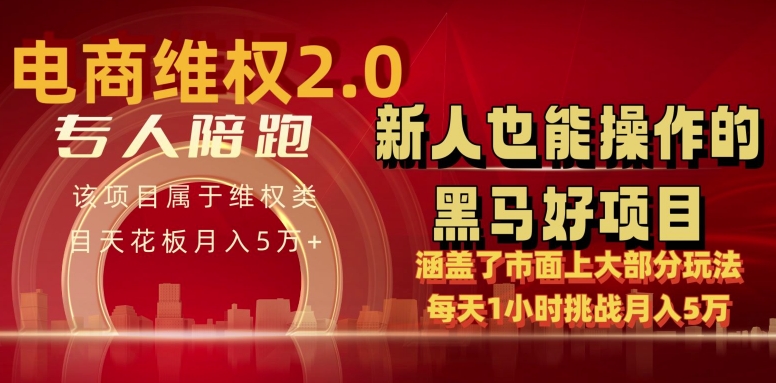 电商维权 4.0 如何做到月入 5 万+每天 1 小时新人也能快速上手【仅揭秘】 - 中赚网创-中赚网创