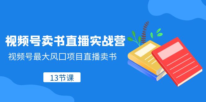 视频号卖书直播实战营，视频号最大风囗项目直播卖书（13节课） - 中赚网创-中赚网创