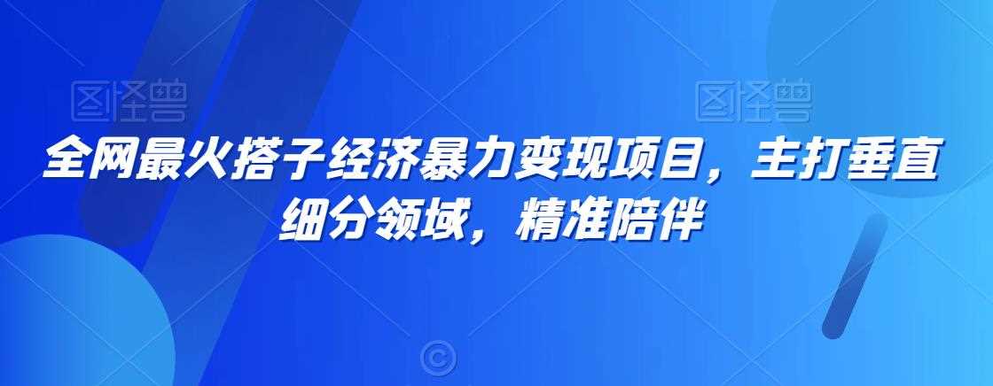 全网最火搭子经济暴力变现项目，主打垂直细分领域，精准陪伴【揭秘】 - 中赚网创-中赚网创