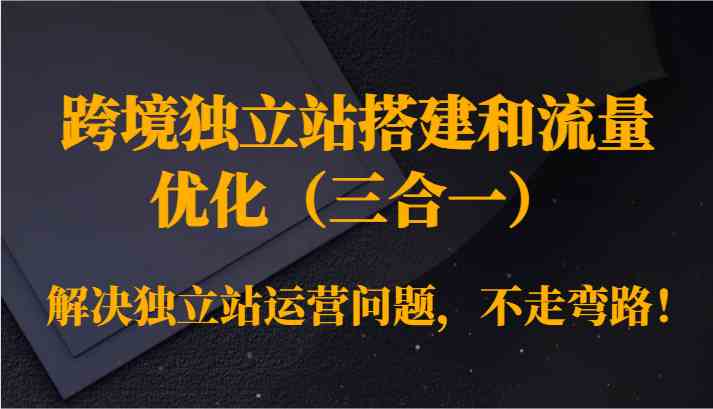 跨境独立站搭建和流量优化（三合一）解决独立站运营问题，不走弯路！ - 中赚网创-中赚网创