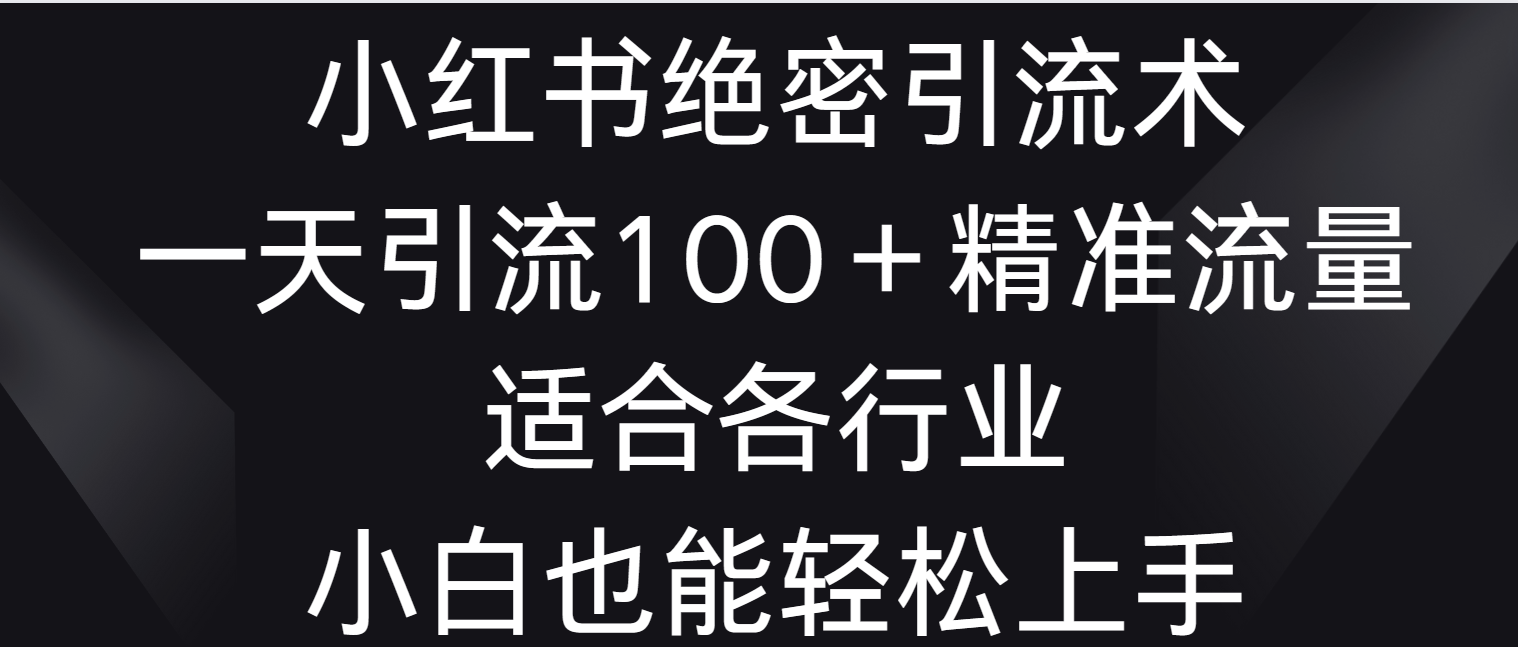 小红书绝密引流术，一天引流100＋精准流量，适合各个行业，小白也能轻松上手 - 中赚网创-中赚网创