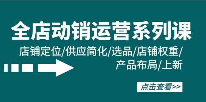 全店动销运营系列课：店铺定位/供应简化/选品/店铺权重/产品布局/上新 - 中赚网创-中赚网创