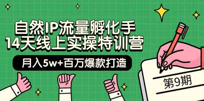 自然IP流量孵化手14天线上实操特训营【第9期】月入5w+百万爆款打造 (74节) - 中赚网创-中赚网创