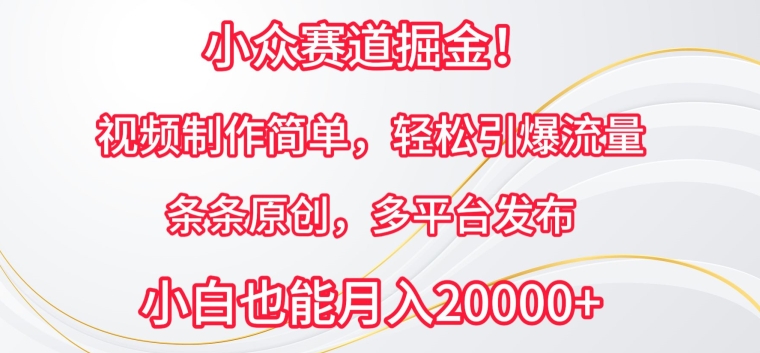 小众赛道掘金，视频制作简单，轻松引爆流量，条条原创，多平台发布 - 中赚网创-中赚网创