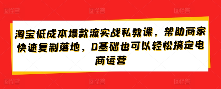 淘宝低成本爆款流实战私教课，帮助商家快速复制落地，0基础也可以轻松搞定电商运营 - 中赚网创-中赚网创