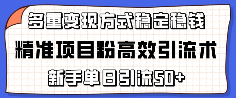 精准项目粉高效引流术，新手单日引流50+，多重变现方式稳定赚钱 - 中赚网创-中赚网创