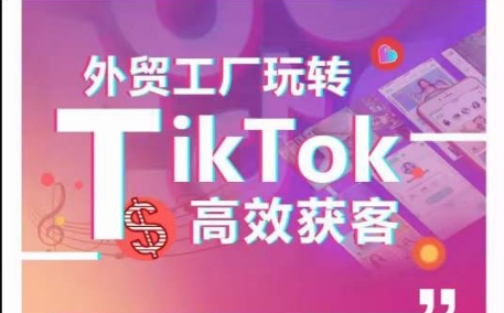 外贸工厂玩转TikTok高效获客，多种引流方式与账号定位技巧，拆解爆款短视频打造成功案例 - 中赚网创-中赚网创