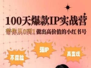 小红书100天爆款IP实战营，带你从0到1做出高价值的小红书号 - 中赚网创-中赚网创