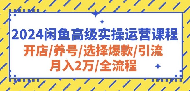 2024闲鱼高级实操运营课程：开店/养号/选择爆款/引流/月入2万/全流程 - 中赚网创-中赚网创