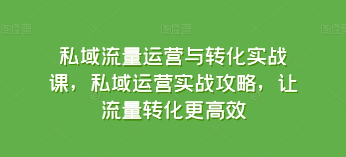 私域流量运营与转化实战课，私域运营实战攻略，让流量转化更高效 - 中赚网创-中赚网创