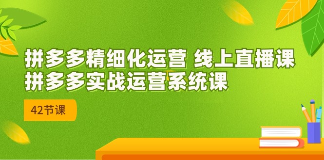 拼多多精细化运营 线上直播课：拼多多实战运营系统课（更新47节） - 中赚网创-中赚网创