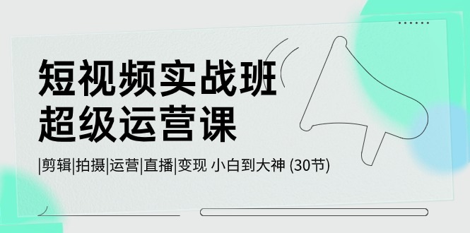 短视频实战班-超级运营课，|剪辑|拍摄|运营|直播|变现 小白到大神 (30节) - 中赚网创-中赚网创