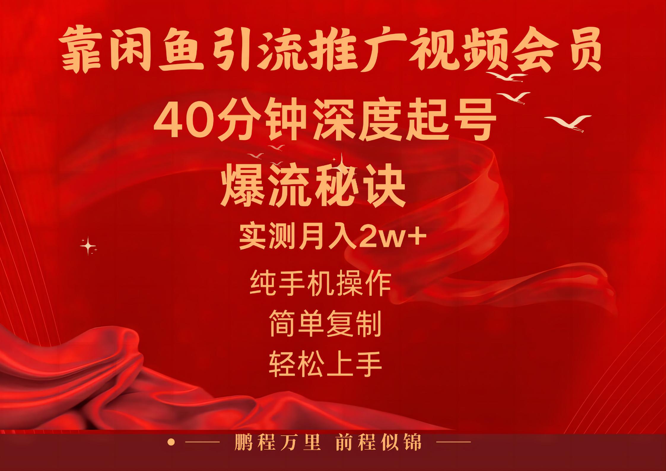 闲鱼暴力引流推广视频会员，能做到日入2W+，操作简单 - 中赚网创-中赚网创