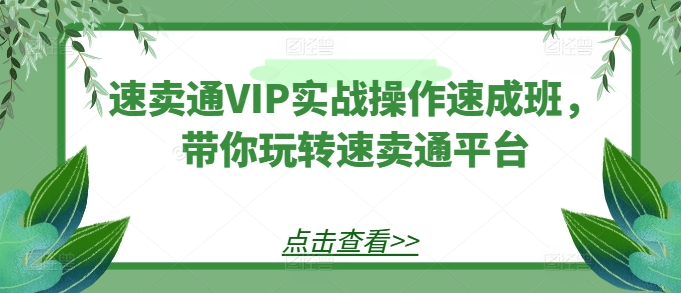 速卖通VIP实战操作速成班，带你玩转速卖通平台 - 中赚网创-中赚网创