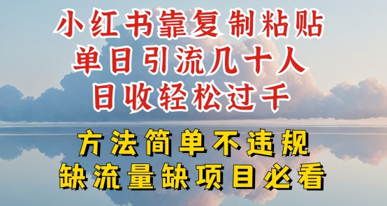 小红书靠复制粘贴单日引流几十人目收轻松过千，方法简单不违规 - 中赚网创-中赚网创