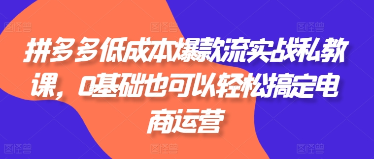 拼多多低成本爆款流实战私教课，0基础也可以轻松搞定电商运营 - 中赚网创-中赚网创