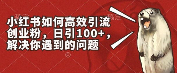 小红书如何高效引流创业粉，日引100+，解决你遇到的问题 - 中赚网创-中赚网创