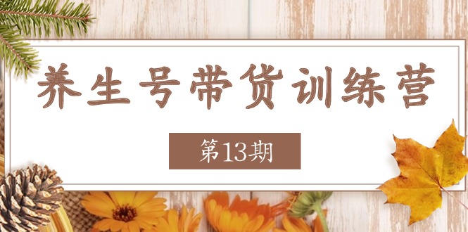 养生号-带货训练营【第13期】收益更稳定的玩法，让你带货收益爆炸 - 中赚网创-中赚网创