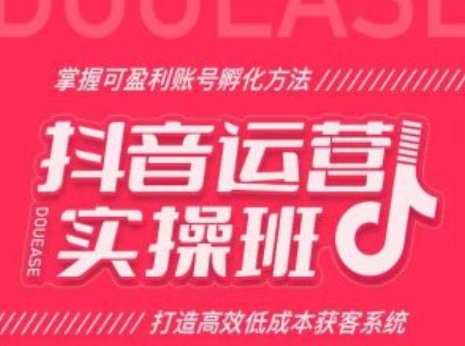 抖音运营实操班，掌握可盈利账号孵化方法，打造高效低成本获客系统 - 中赚网创-中赚网创