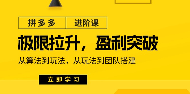 拼多多进阶课：极限拉升/盈利突破：从算法到玩法 从玩法到团队搭建（18节） - 中赚网创-中赚网创