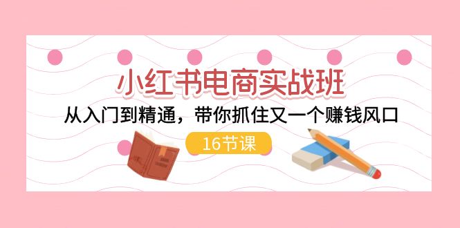 （11533期）小红书电商实战班，从入门到精通，带你抓住又一个赚钱风口（16节） - 中赚网创-中赚网创