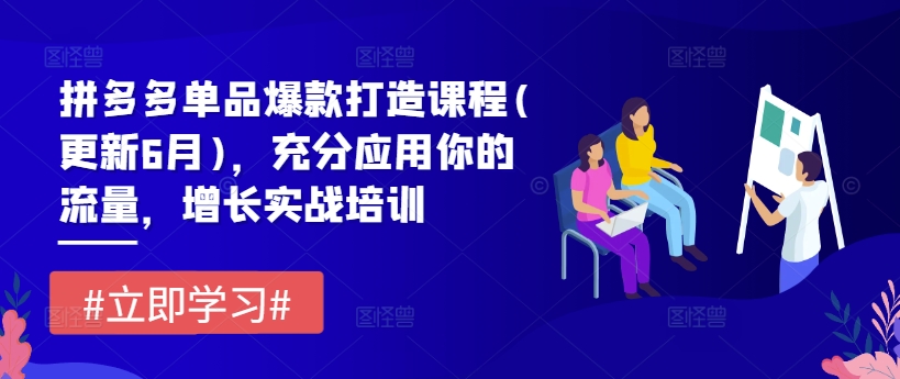 拼多多单品爆款打造课程(更新6月)，充分应用你的流量，增长实战培训 - 中赚网创-中赚网创