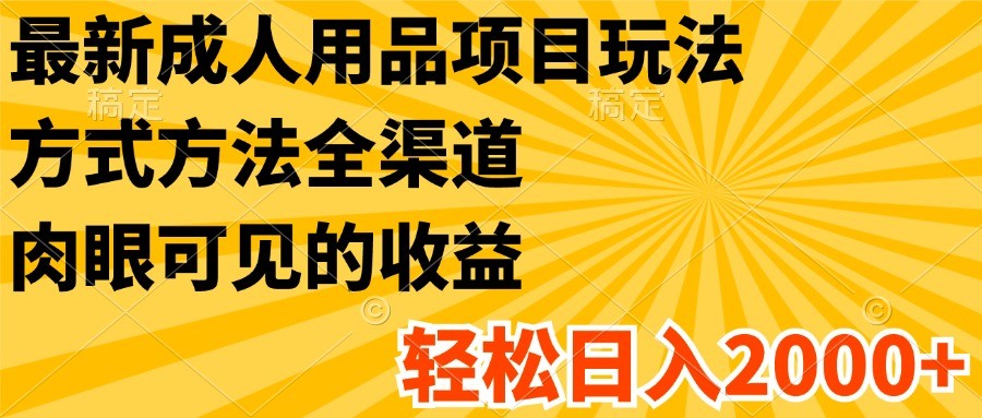 最新成人用品项目玩法，方式方法全渠道，肉眼可见的收益，轻松日入2000+ - 中赚网创-中赚网创