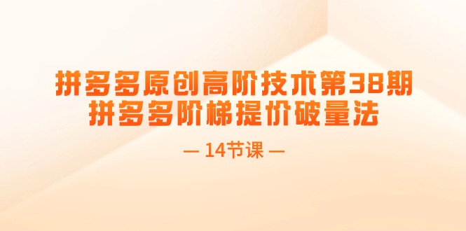 （11704期）拼多多原创高阶技术第38期，拼多多阶梯提价破量法（14节课） - 中赚网创-中赚网创